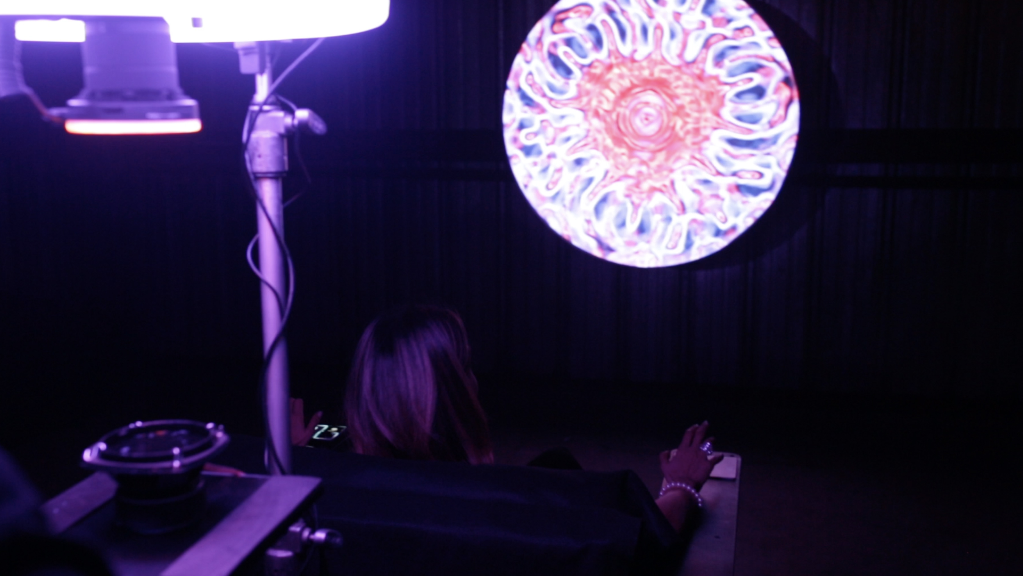 Binary Salon 13 — Richard Grillotti