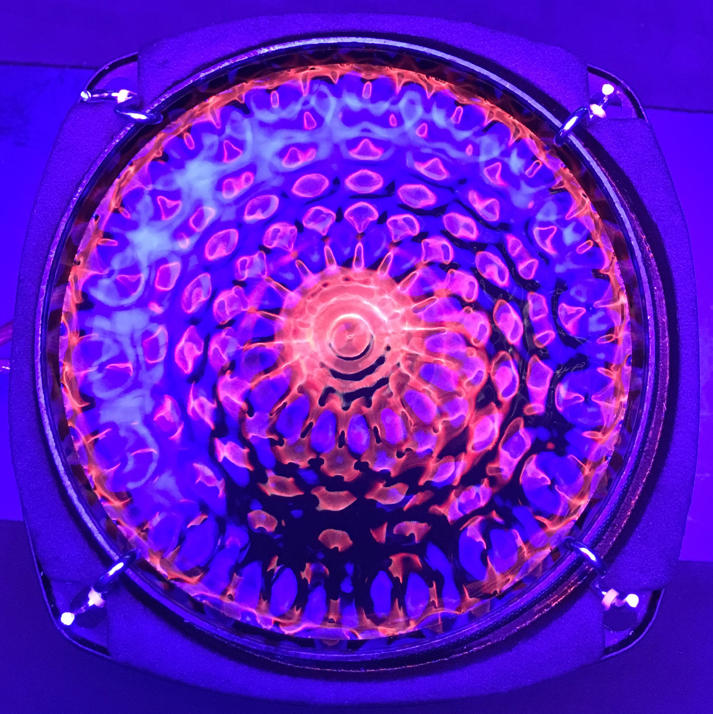 Directly down into the water dish