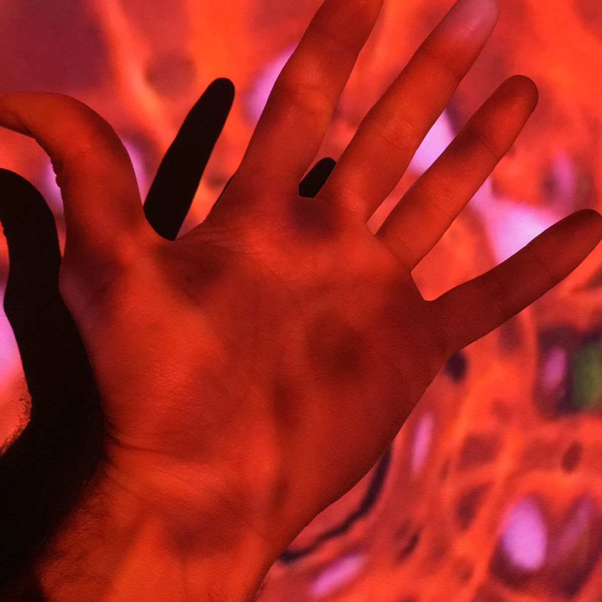 Enjoying the cymatic projections on a hand