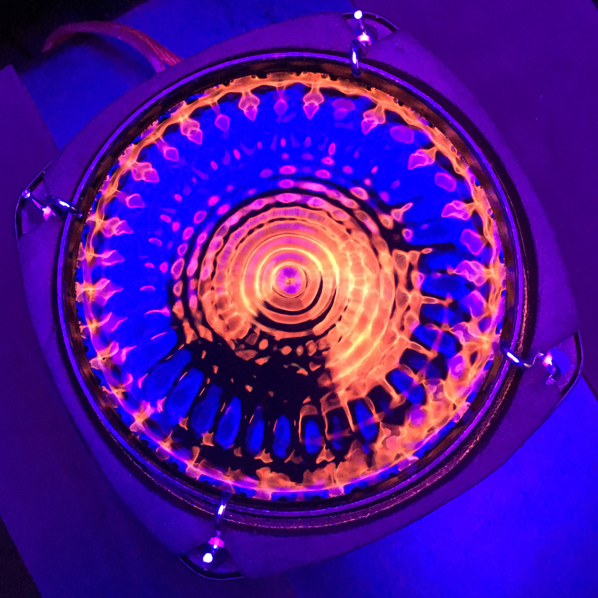 A vibrant view of the water dish with black-light purple-blue hue