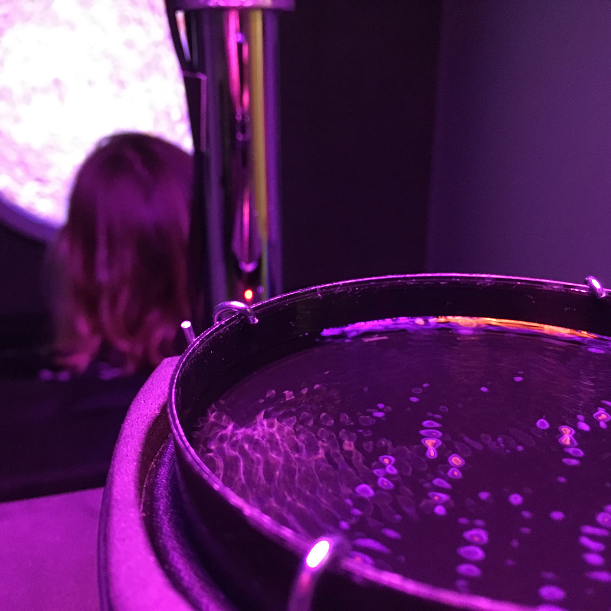 A close-up of the water dish