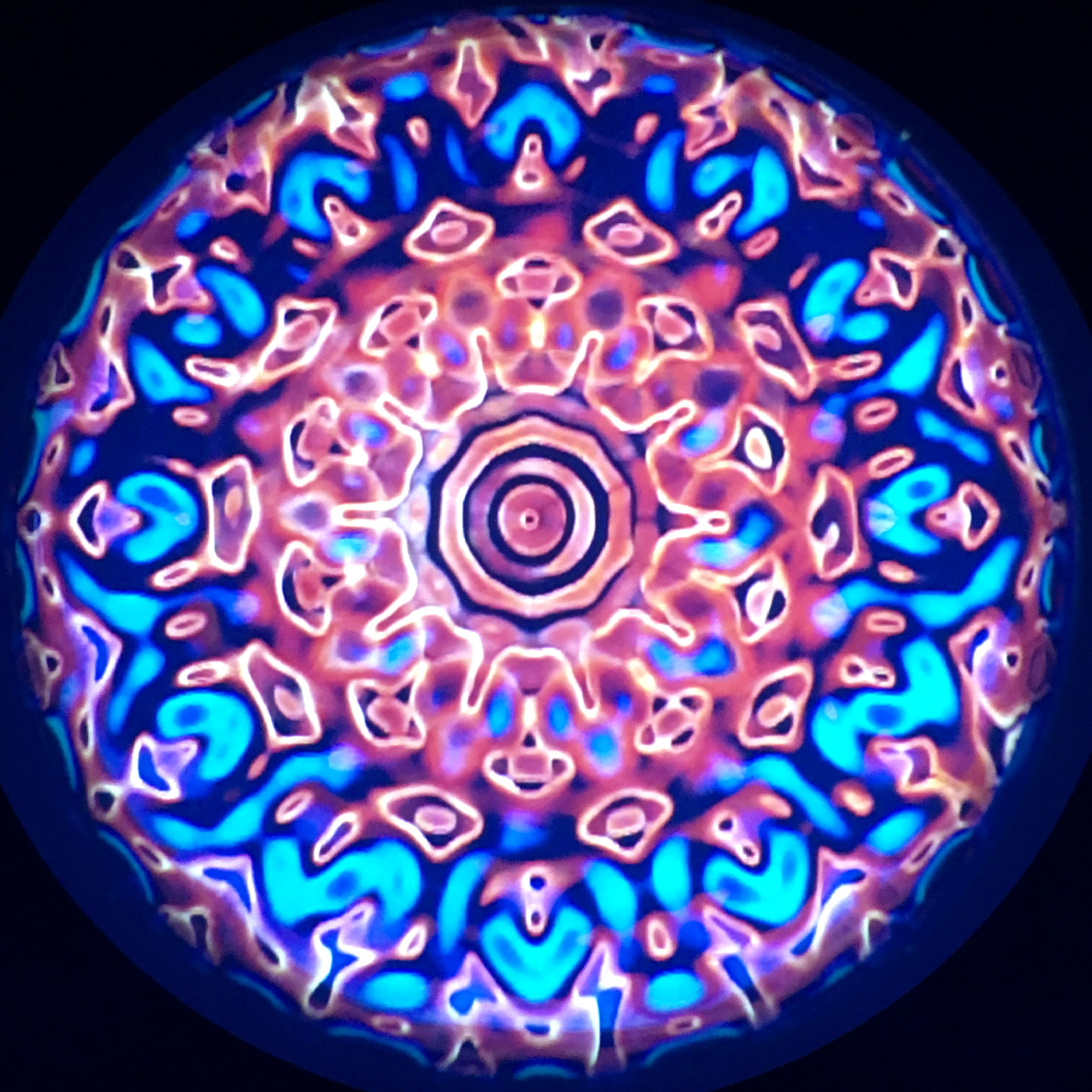 A ten-petaled flower form in orange and blue