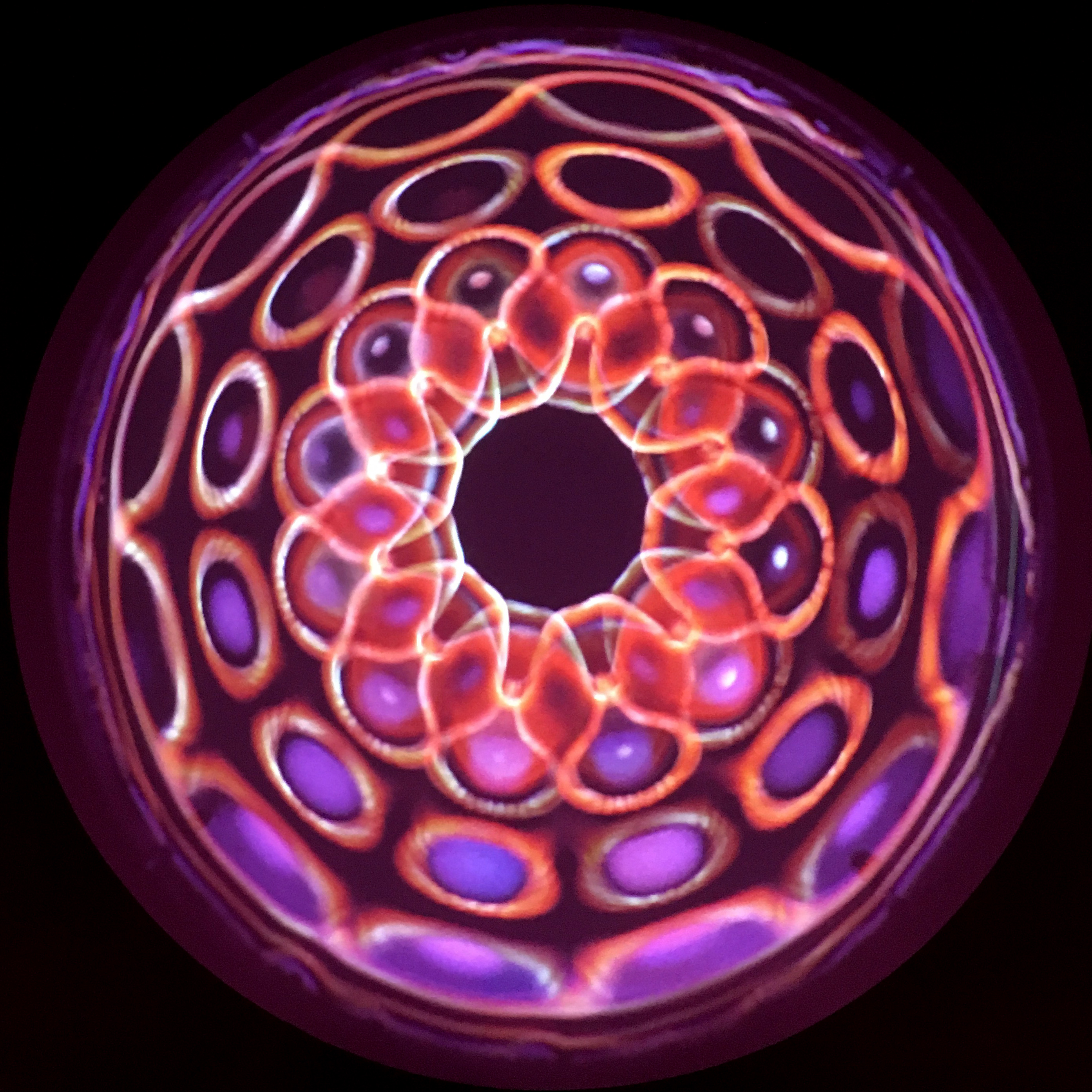 A beautiful red-orange-purple with graceful arcs and a smooth flower shape